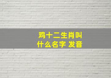 鸡十二生肖叫什么名字 发音